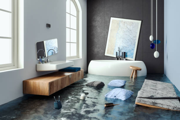 Best Water damage restoration experts  in La Vista, NE
