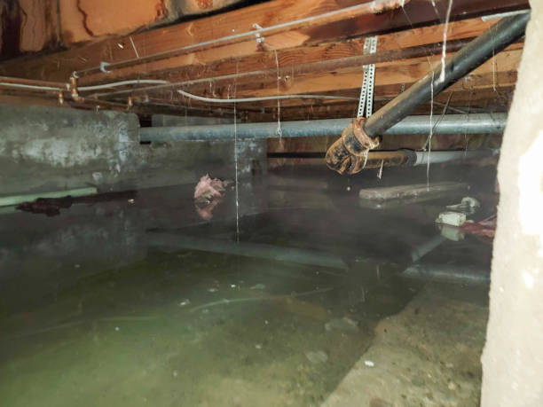  La Vista, NE Water damage restoration Pros
