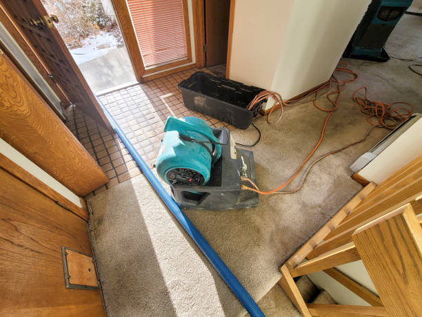 Water damage restoration insurance claims in La Vista, NE