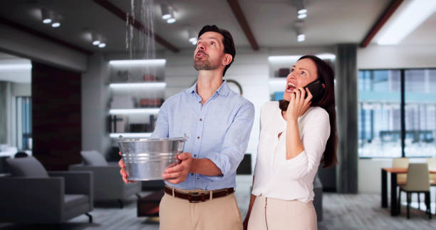 Best Water damage cleanup near me  in La Vista, NE